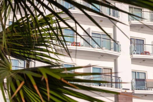 A green palm branch in the foreground contrasts with the white balconies of a hotel in the background, creating a serene tropical vibe on a sunny day