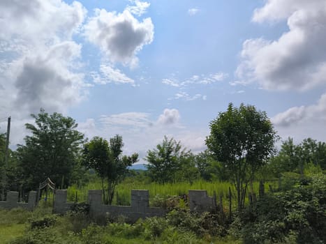 summer landscape green grass, blue sky white clouds nature weather atmosphere place Georgia. High quality photo