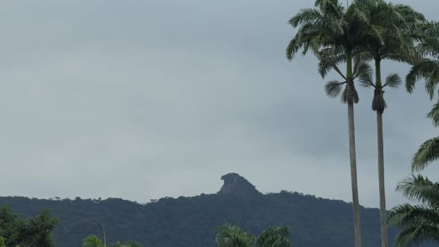 Establishing shot of Papagayo Peak in Ilha Grande, Brazil with a cloudy sky and space for text.