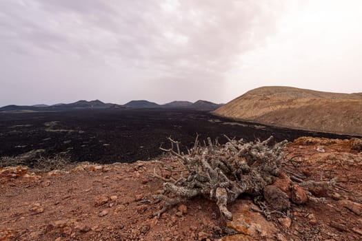 picturesque view of crater of volcano against mountains under light sky in Natural Park of Lanzarote in Canary Islands, Spain, concept of volcanic landscape and wild nature