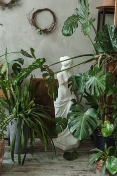 A fragment of the interior with a variety of indoor plants and plaster sculptures. Urban jungle concept. Biophilia design.