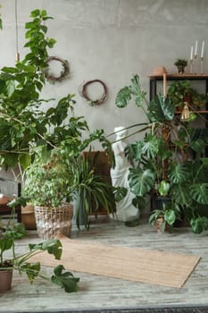 A fragment of the interior with a variety of indoor plants and plaster sculptures. Urban jungle concept. Biophilia design.