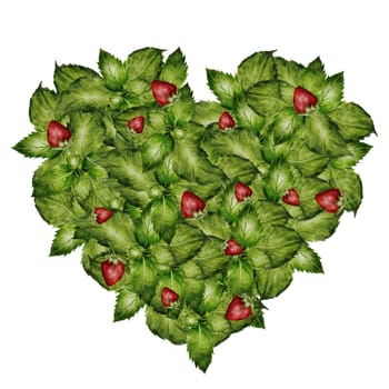 Green Heart watercolor. Herbal heart with strawberries. Hand drawn shape with mint leaves on isolated white background. Ideal for herbal tea and other drinks logo and natural cosmetics. High quality illustration