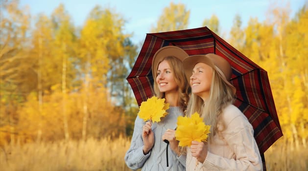 Portrait of happy young two women friends with autumn yellow leaves, holding umbrella, smiling girlfriends looking away outdoors, in park, sunny day, fall season