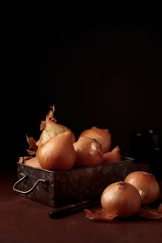 Fresh harvest yellow onion bulbs with peel in a vintage metal box on a table on a dark background, organic product for healthy food, ingredient for home cooking dishes, vertical close-up banner with a copy space