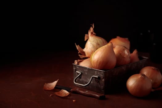 Fresh harvest yellow onion bulbs with peel in a vintage metal box on a table on a dark background, organic product for healthy food, ingredient for home cooking dishes, banner with a copy space