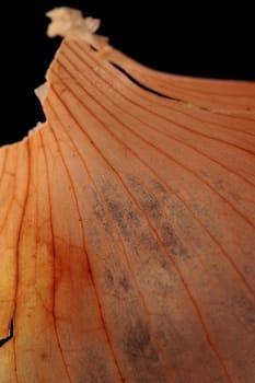 Macro golden onion's husk, yellow peel on a table on a dark background
