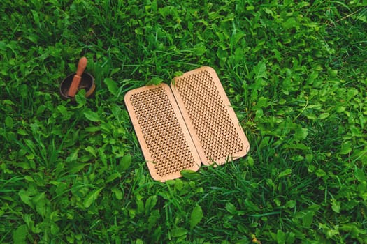 Yoga board in nature. Selective focus. grass.