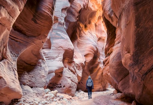 A female hiker walks through the majestic Buckskin Gulch, a deep and narrow slot canyon on the Arizona, Utah border. The towering sandstone walls, sculpted by erosion, create a sense of awe - USA