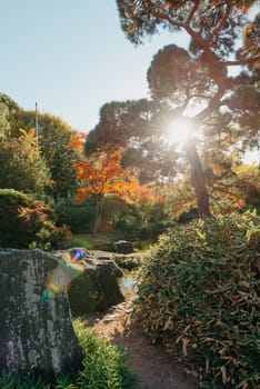 Beautiful Japanese Garden and red trees at autumn seson. A burst of fall color with pond reflections.