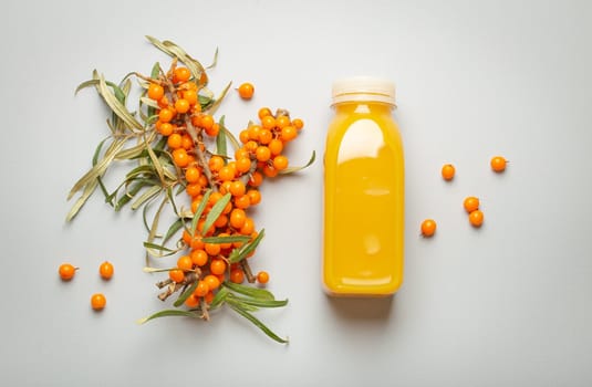 Sea buckthorn healthy juicy drink in bottle and branches with leaves and ripe berries top view on light grey simple background..
