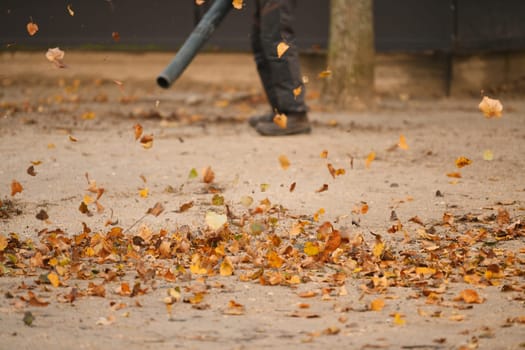 Man cleaning the park with a leaf blower