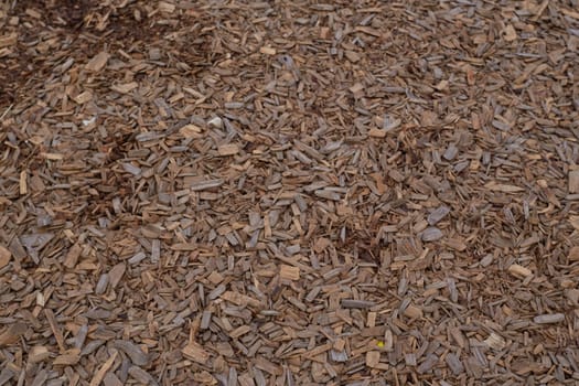 The background covering of the playground is mulch sawdust. The tree was cut down.