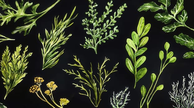 Detailed botanical watercolor illustration on dark