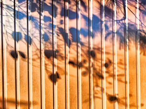 Shadows of leaves form a stunning pattern on a textured orange wall as the sunlight sets in the late afternoon.