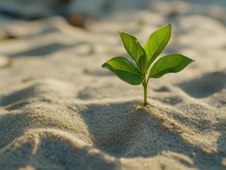 A small green sapling pushes through sandy soil, showcasing resilience and the beauty of nature as it thrives under sunlight in a tranquil setting.