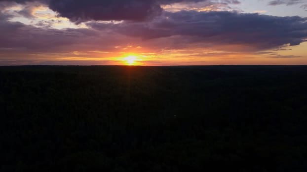 Aerial cinematic panoramic view of the farm field during sunset. Clip. Drone flies over agriculture green field