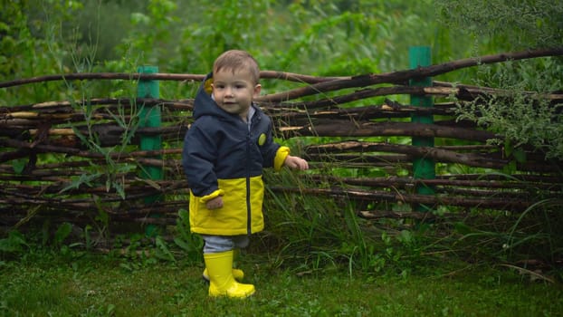 A little boy stands at the fence of branches in the garden after the rain. The child smiles as he walks on the grass. Boy in jacket and boots. 4k