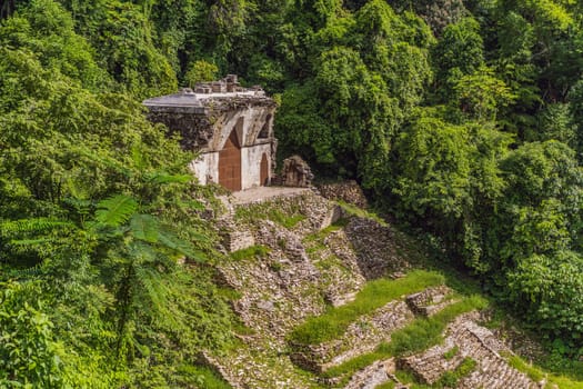 The ancient pyramids of Palenque in Mexico, surrounded by lush jungle. Iconic archaeological site showcasing Mayan culture and history. Travel, history, and adventure concept.