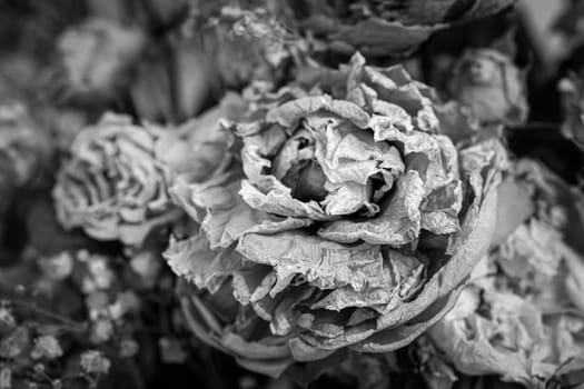 Dry bouquet. Close-up image of dried flowers in a bouquet. Life and death concept. Withered flower background