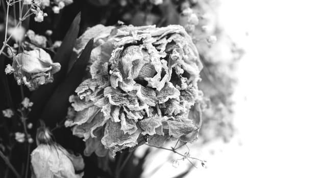 Dry bouquet. Close-up image of dried flowers in a bouquet. Life and death concept. Withered flower background