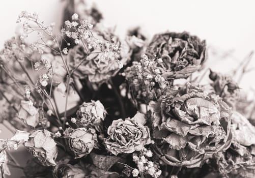 Dry bouquet. Close-up image of dried flowers in a bouquet. Life and death concept. Withered flower background