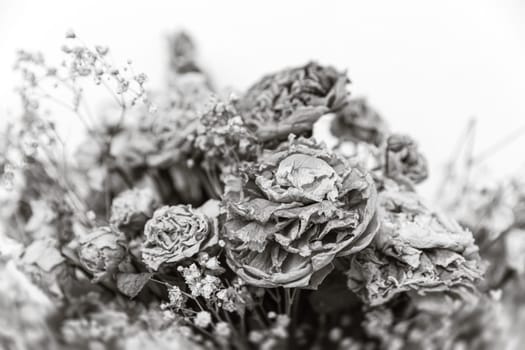 Dry bouquet. Close-up image of dried flowers in a bouquet. Life and death concept. Withered flower background