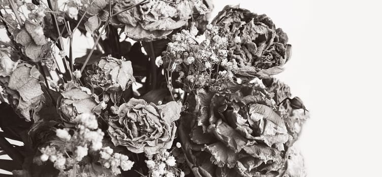 Dry bouquet. Close-up image of dried flowers in a bouquet. Life and death concept. Withered flower background