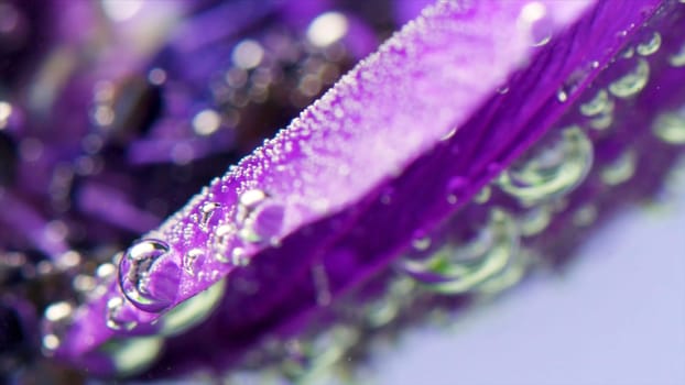 Close-up of beautiful bubbles on bright flower. Stock footage. Refreshing flower petals with bubbles in water. Bright flowers under water with bubbles.