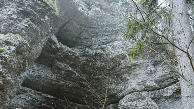 Stone cliff with cave entrance at top. Clip. Top view of stone wall with cave in forest. Forest rock with rocks and cave entrance.