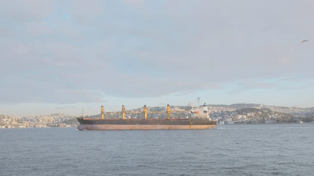 Large ship sails off coast of sea city. Action. Steamer sails on background of coast with city. Large steamer sails into sea off coast with seagulls on sunny day.