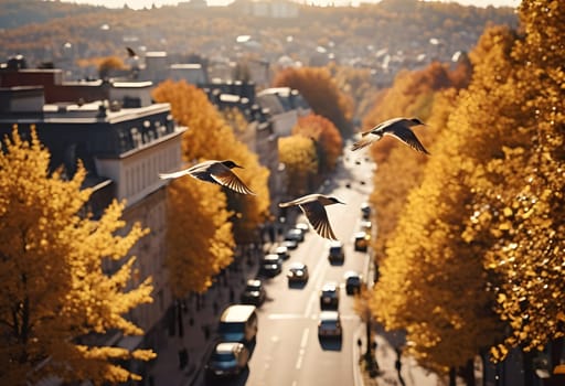 Birds fly over quiet autumn city streets lined with golden trees and vibrant foliage