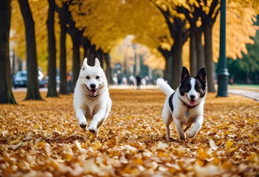Dogs running and playing in a city park covered in colorful autumn leaves, enjoying the fall weather