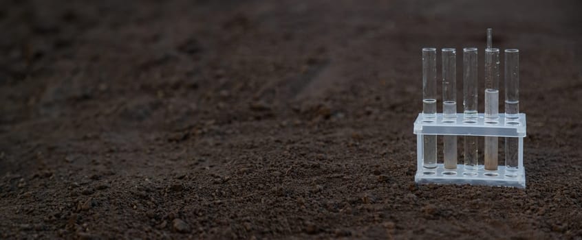 Soil analysis in a test tube. Selective focus. Nature.