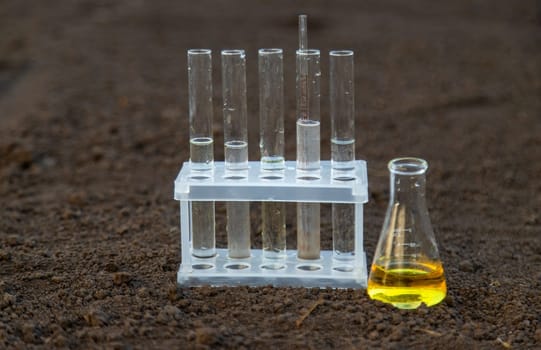 Soil analysis in a test tube. Selective focus. Nature.