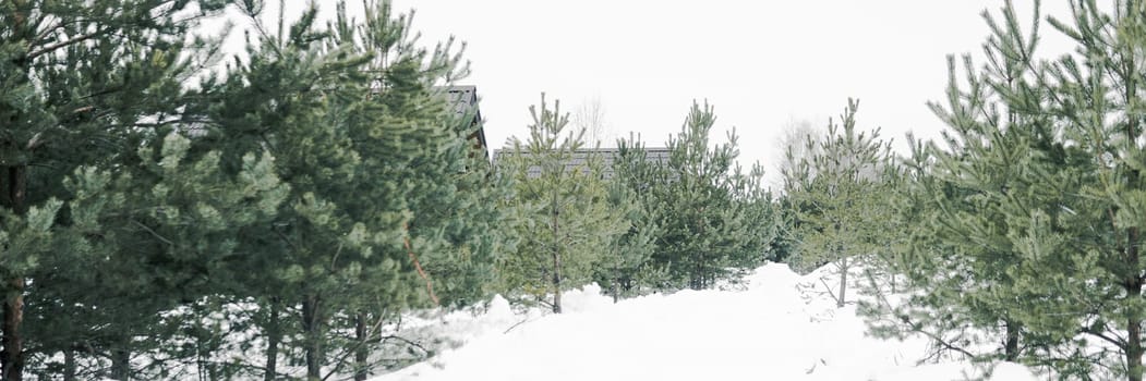 A country house in nature in winter. Rest in an ecologically clean place in winter. Glamping in nature