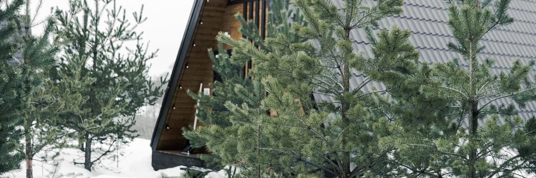 A country house in nature in winter. Rest in an ecologically clean place in winter. Glamping in nature