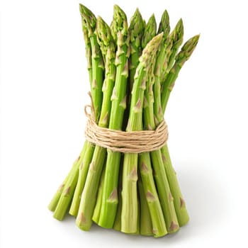 A bundle of fresh asparagus stands upright, tied with natural twine. The vibrant green stalks highlight its fresh and healthy appearance, perfect for cooking or salads.