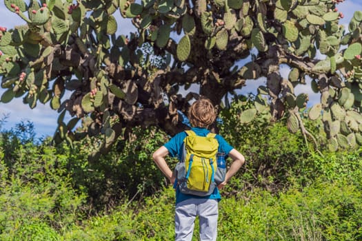Boy with a backpack looking at a giant cactus. Adventure, exploration, and nature discovery concept.