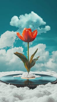 Tulip growing from vinyl record with surreal clouds.