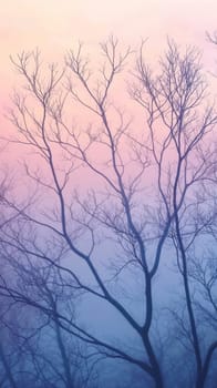 Silhouette of bare tree branches against pastel sky at dawn, tranquil nature concept.
