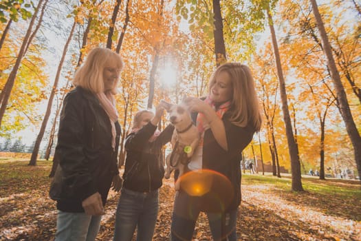 Mother and grandmother and daughter holds jack russell terrier and plays with it in autumn outside. Pet and family concept.