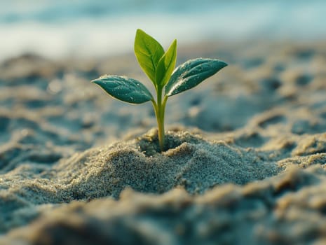 A small green sapling pushes through sandy soil, showcasing resilience and the beauty of nature as it thrives under sunlight in a tranquil setting.