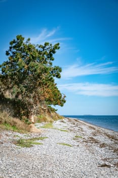Captivating view of a serene coastline with calm blue waters, a pebbled beach, and lush green vegetation under a clear sky. Perfect representation of peace and natural beauty in mols bjerge denmark
