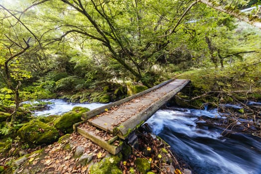 The magnificent Tateshina Otaki Falls on the famous Venus Line road, famous as a scenic driving route in Japan