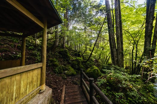 The magnificent Tateshina Otaki Falls on the famous Venus Line road, famous as a scenic driving route in Japan