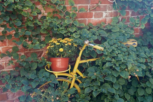 an old yellow bicycle saddle and a basket of yellow chrysanthemums. retro.