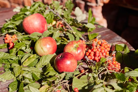 Apples, leaves, rowan berries on the table. Top view of the autumn composition. The concept of the harvest season.