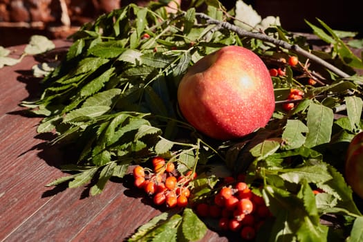 Apples, leaves, rowan berries on the table. Top view of the autumn composition. The concept of the harvest season.