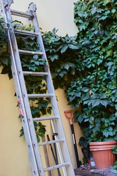 A stepladder stands in a garden near a tree. Garden work.